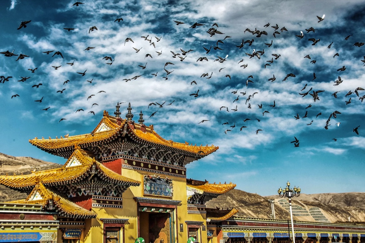 Longwu Temple